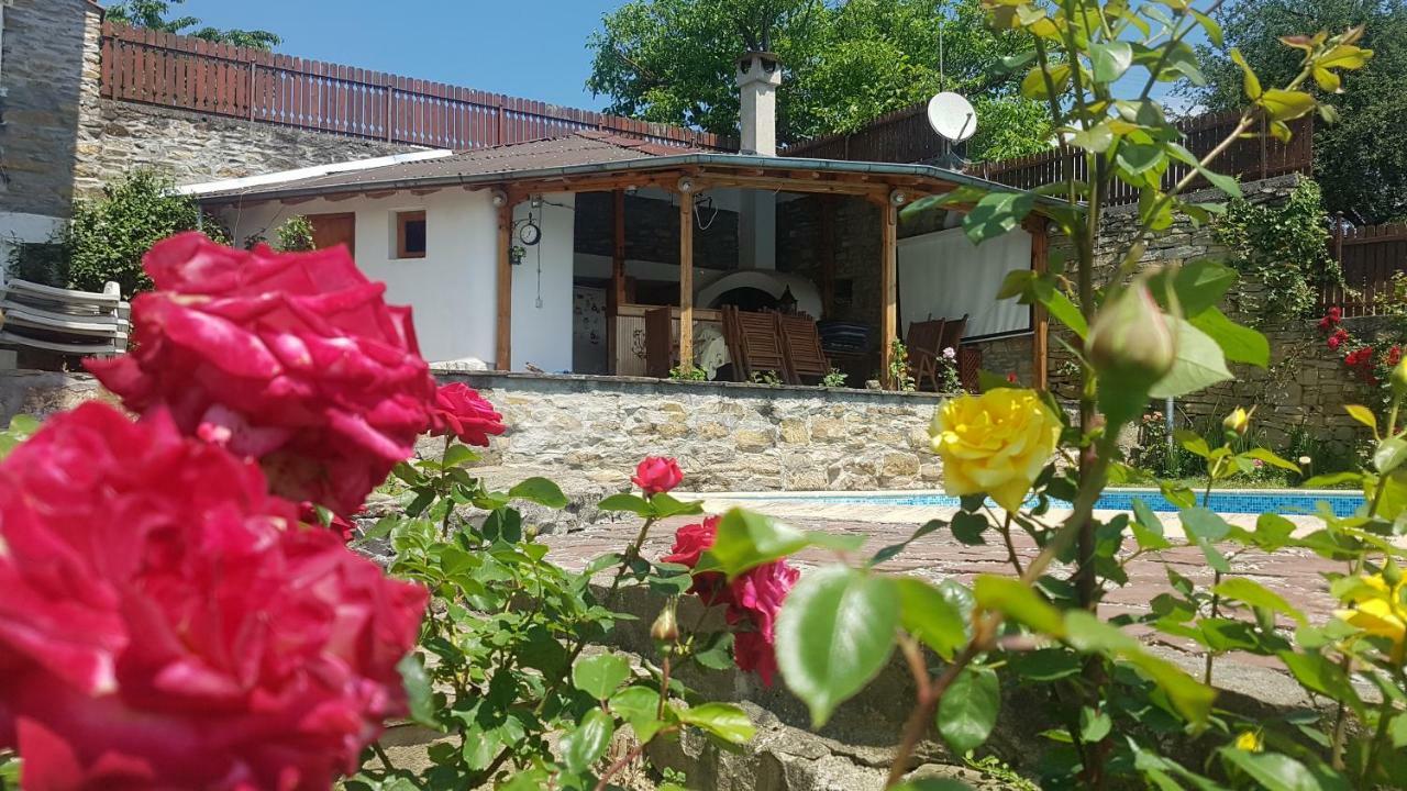 Rosarium Residence Guest House Drjanowo Exterior foto